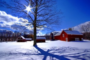 Tweedle Farm barns, winter, with sun star; Sleeping Bear Dunes Nat'l Lakeshore; ©markscarlson.com