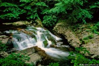 Waterfall in a rocky river, Smoky Mountains_ ©Mark S. Carlson | Great Lakes Photo Tours