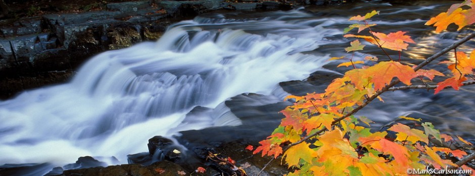 Quartzite Falls and sugar maple branch, autumn; ©markscarlson.com_resize