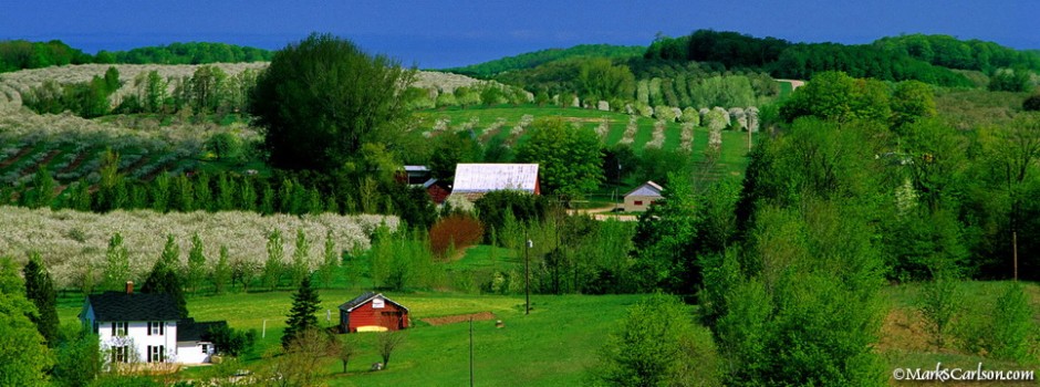 Cherry orchards in bloom, rolling landscape of Leelanau County; ©markscarlson_edited-1_resize