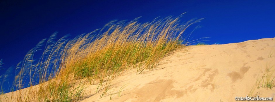 Dune Grasses, Pyramid Dune; ©markscarlson.com_resize