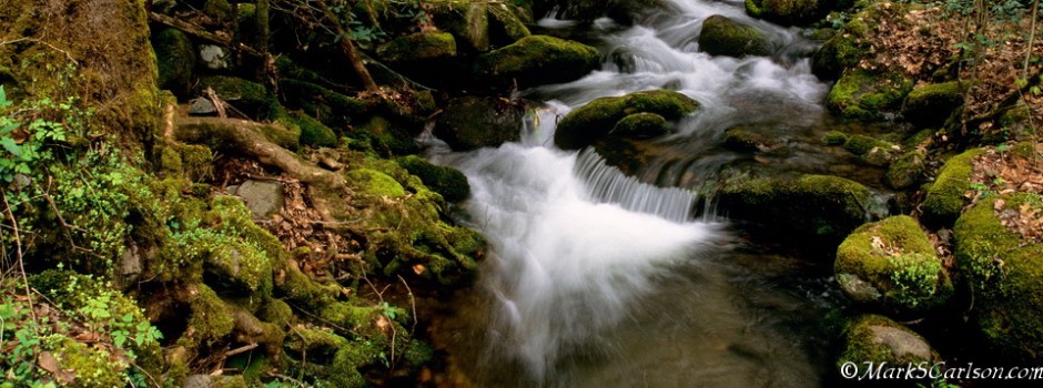 Cascading brook; ©markscarlson.com Slider-Sized_resize