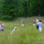 Excursion-participants-exploring-wet-meadow-©markscarlson.com | Great Lakes Photo Tours