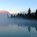 Fog bank and lake-side evergreens at dawn; ©markscarlson.com | Great Lakes Photo Tours
