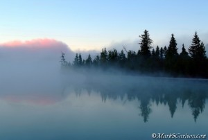 Fog bank and lake-side evergreens at dawn; ©markscarlson.com