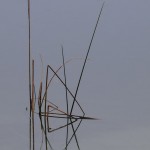 Shell lake reeds with reflections, ©Don Phillips, 10-19-2012