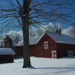 Barn silo and tree ©Anita Tewilliager | Great Lakes Photo Tours