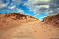 Boardwalk over dune, ©Kristen Kernstock | Great Lakes Photo Tours