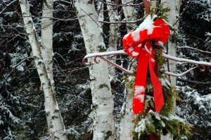 L-Dec.;Red ribbon on lamp post with paper birches and evergreens; The Homestead Resort, Glen Arbor, MI; ©markscarlson.com