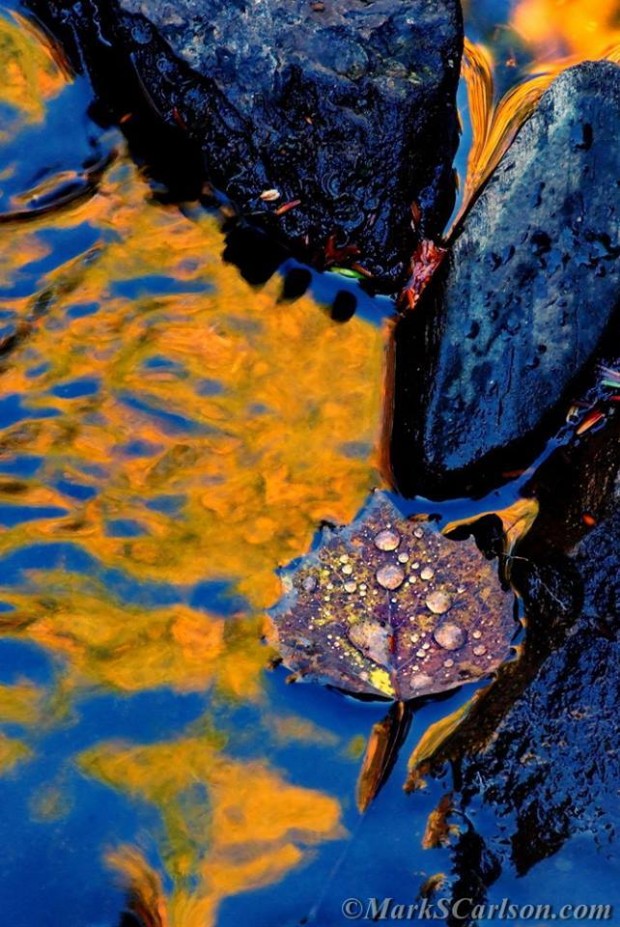 Aspen leaf with water droplets, riverbed rock and autumn reflections; markscarlson | Great Lakes Photo Tours
