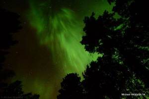 Northern lights above the silhouetted evergreens during Copper Country Color Tour 2013; ©Michael Wojdylak