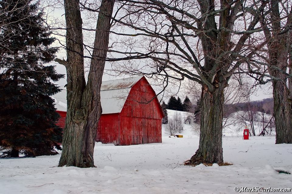 Leelanau Red Barn in trees, Winter, ©Markscarlson.com | Great Lakes Photo Tours